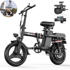 14" Folding Electric Bike