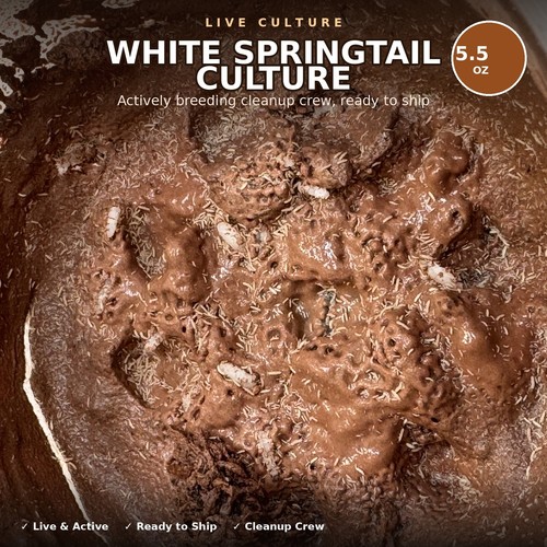 5oz live culture temperate - 5.5oz,