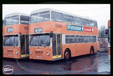 Original Bus Slide - Graham's