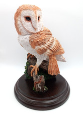Country Artists Barn Owl