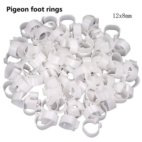 Leg rings for foot birds - leg,