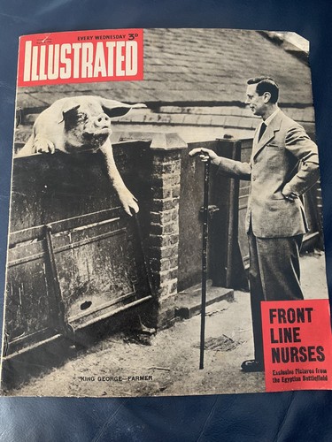 Illustrated magazine 8 42 - illustrated, magazine,