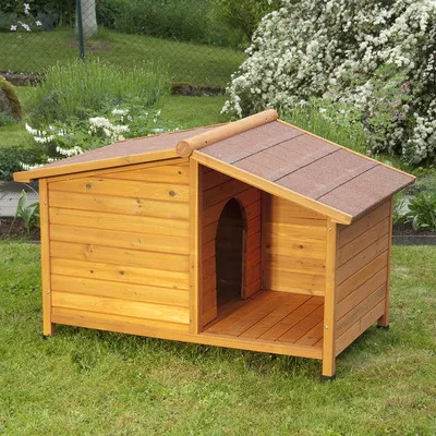 Spike special dog kennel - dog,