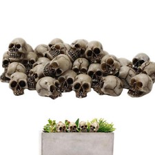 Skeleton Head Mini Skeleton