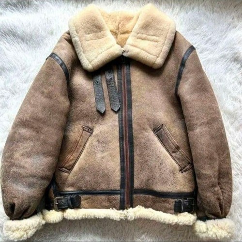 Avirex flight jacket - b-3,