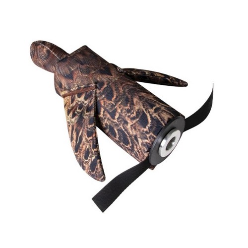 Bisley hen pheasant bird - bisley,