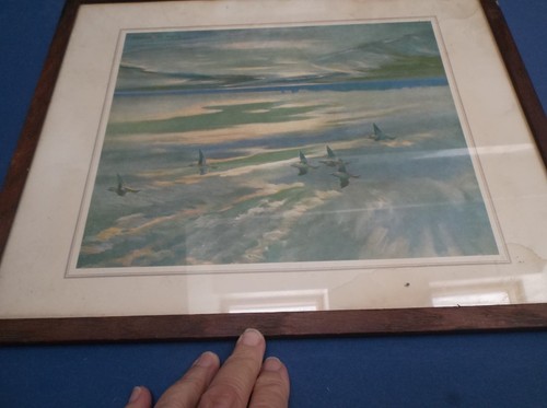 Vintage peter scott 1940 repro - peter,