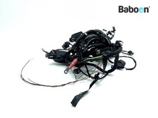 Wiring Harness (Main) BMW F