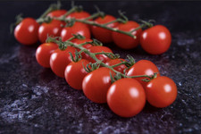 Tomato Piccolo 3 Plug plants