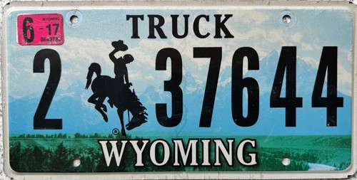 Wyoming cowboy horse - horse, american