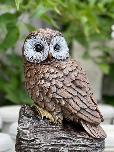 Stone owl sculpture - , concrete