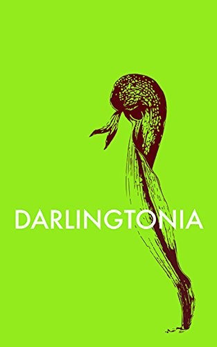 Darlingtonia alba roja - by,