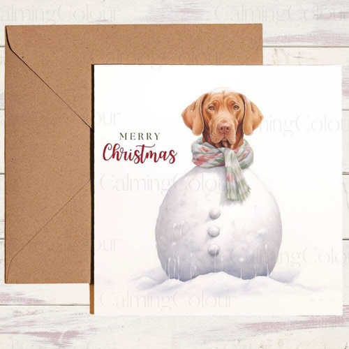 Vizsla the snowdog - snowdog, |