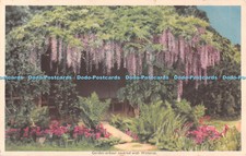 R492510 Garden arbour covered with Wistaria Colour Schemes with Garden Flowers P