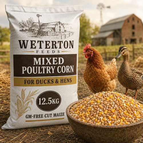5kg mixed poultry corn - poultry, –