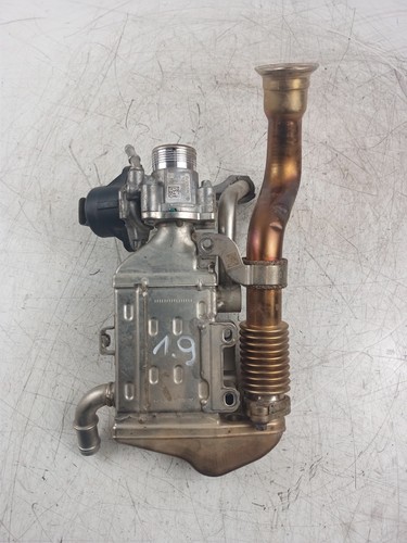 Exhaust gas cooler - , for