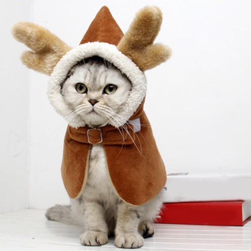 Cat cosplay deer costume - cat, cloak