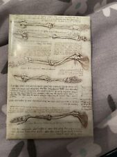 Leonardo Da Vinci Body Fridge Magnet