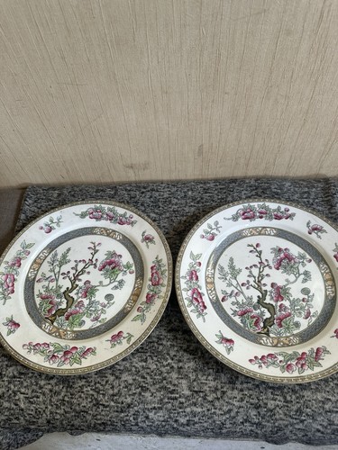 Antique pair wedgwood - antique, of