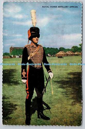 R735247 royal horse artillery - horse,