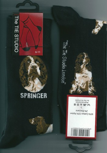 Springer spaniel dog unisex - spaniel,