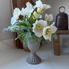 Realistic Frosted Hellebore