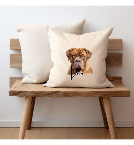 Dogue bordeaux dog cushion - bordeaux,