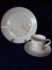 Royal Doulton  HAMPSTEAD