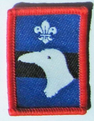 Scout patrol badge raven - badge,