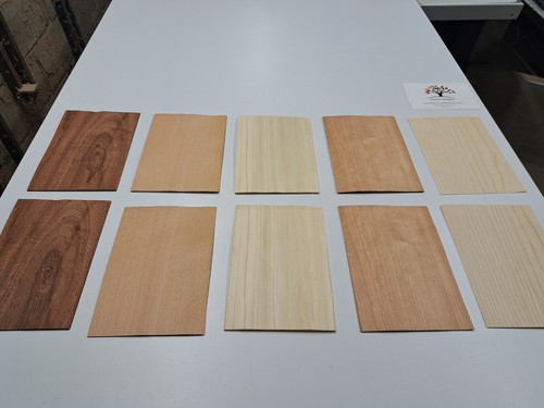 Wood veneer sample pack 10 - veneer,