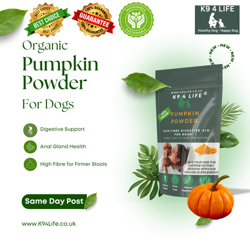Pumpkin powder high fibre - high,