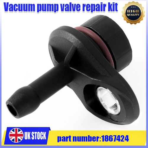 Black vacuum pump - valve, repair