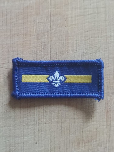 Scouting current assistant - uk,