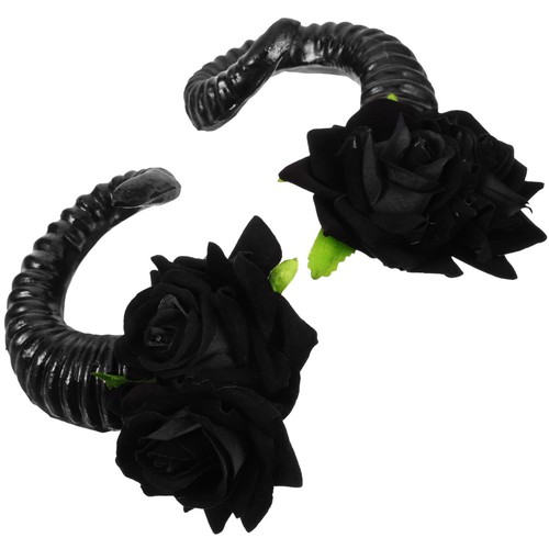Pair sheep horn - 1,