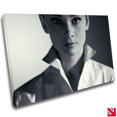 Audrey hepburn canvas wall - canvas, art