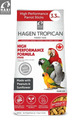 Hagen tropican hari - tropican,