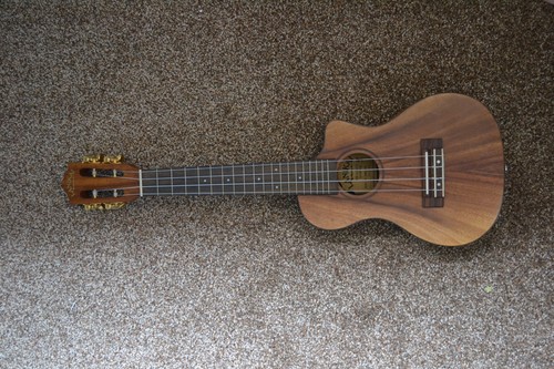 Lanikai ukulele concert - lanikai,