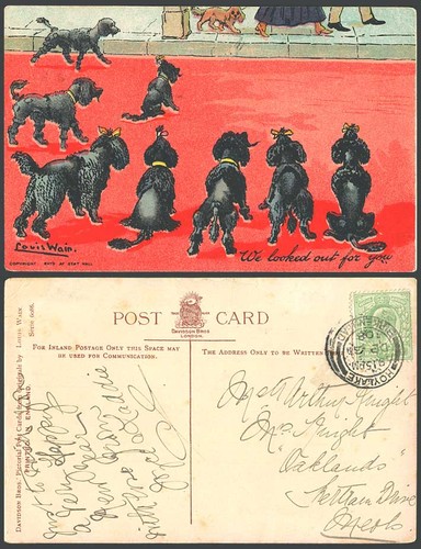 Louis wain artist signed - artist, black