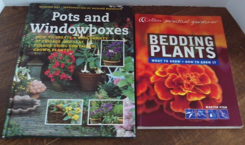 Pots windowboxes martina - pots, windowboxes,