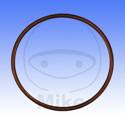 Valve gasket ring - gasket, o-ring