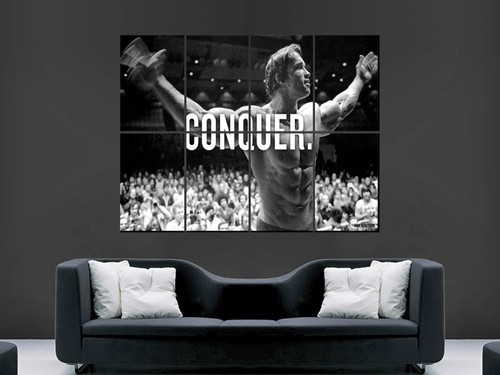 Arnold schwarzenegger poster - schwarzenegger,