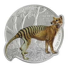 2021  Tasmanian Tiger Solomon
