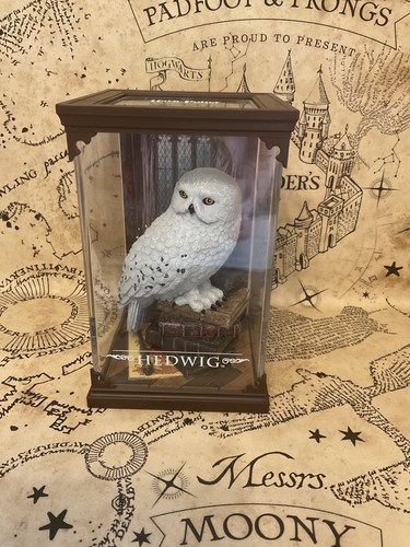 Harry potter wizarding world - potter,