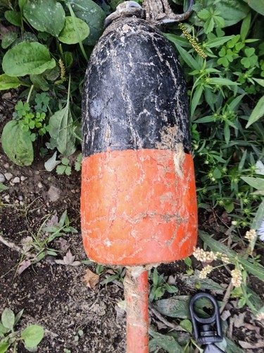 Lobster buoy weathered - lobster,