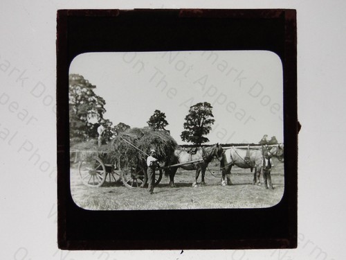 Farming scene haymaking horse - farming,