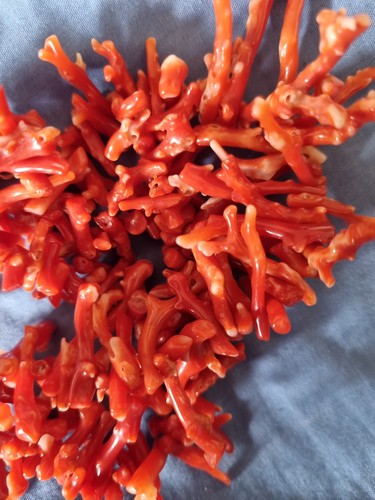 Vintage genuine coral branch - vintage,
