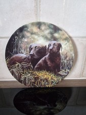Wedgewood Bone China Plate looking and Learning" Black Labrador  Collection