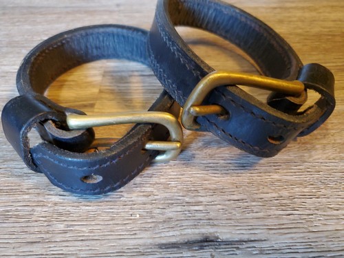 Horse harness leather - horse,