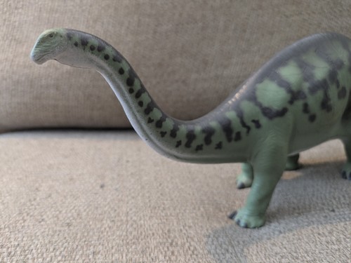 Invicta brontosaurus - invicta,