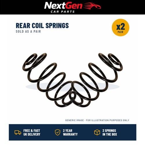 Rear coil spring pair - pair, fiat